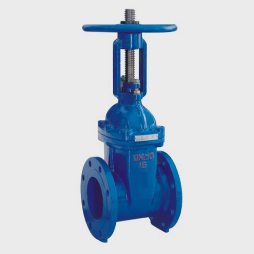 Rising stem elastic seated gate valve